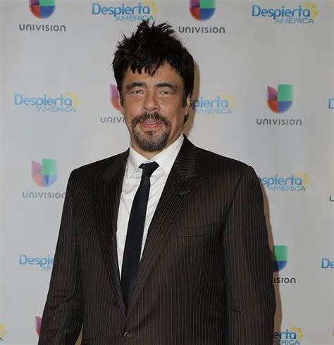 Who Is Benicio Del Toro Wife Married Life Net Worth Siblings