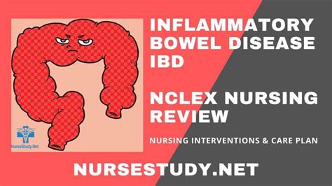 Inflammatory Bowel Disease Nursing Diagnosis And Care Plan Nursestudynet