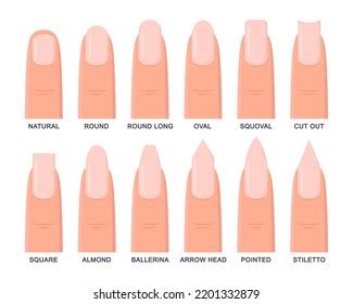 Different Shapes Fingernails Vector Illustrations Set Stock Vector ...