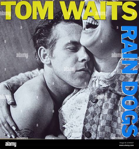 Tom Waits Rain Dogs 12 Lp Vinyl Vintage Record Cover Stock Photo