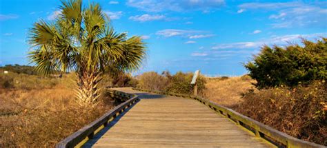 6 Must-Visit Hidden Gems in Myrtle Beach for 2024 — The Coastal Insider