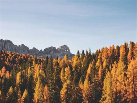 Sex Education Seksspeeltjes Naaktfotos En Afscheid In Seizoen