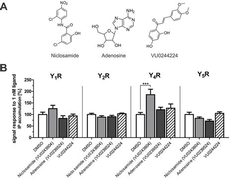 Validation Of Y4r Pam Activity And Subtype Selectivity Of Initial