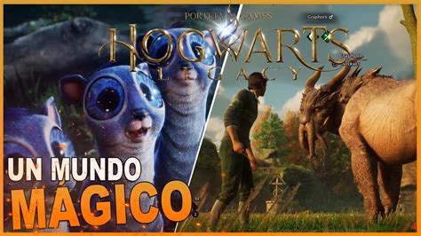 La Vida En Hogwarts Animales Fantásticos En Harry Potter Hogwarts