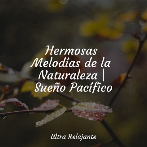 Hermosas Melodías de la Naturaleza Sueño Pacífico Album by Sueño