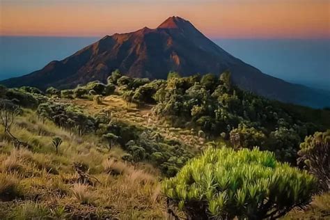 Panduan Mendaki Ke Gunung Merbabu Via Selo Untuk Tahun Baru Cara