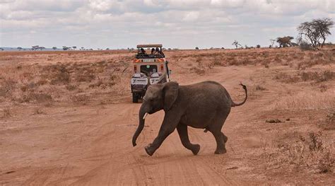 12 DAYS TARANGIRE MANYARA NGORONGORO SERENGETI ZANZIBAR RETREAT