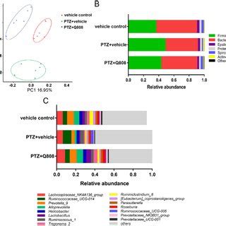 Effects Of Q On Ptz Kindling Induced A Seizure Stage And B Body