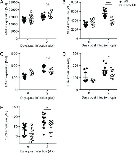 Mva Induced Ifn I Responses Modulate Antigen Presentation In B Cells