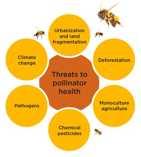 Protecting Pollinators Business Officer Magazine