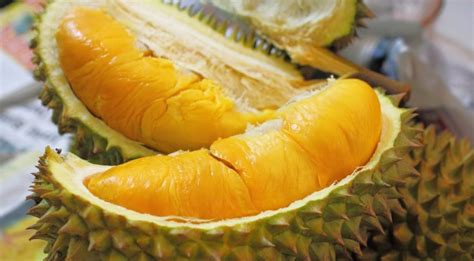 Durian Benef Cios Informa O Nutricional Receitas E Malef Cios