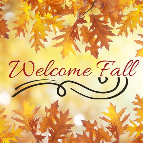 activities   upcoming fall season  searchlight