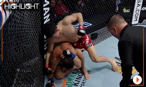 Ufc Fight Night Highlight Video Hyun Sung Park Stops Shannon Ross