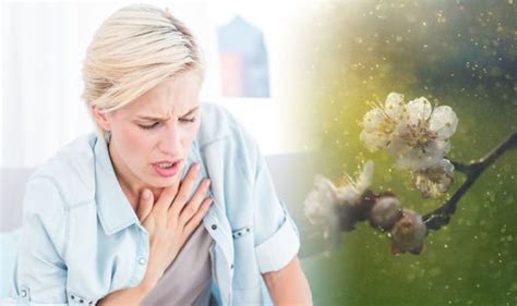 Pollen Count Warning High Count Can Cause Deadly Condition Tips To Manage Pollen Spikes