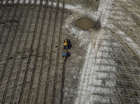 Lessons on automation: what can forestry learn from agriculture