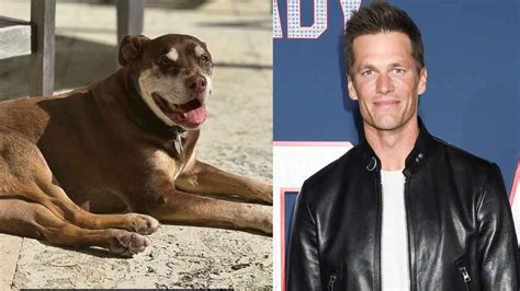 Tom Brady anuncia la muerte de su perro Lua que adoptó con su exesposa