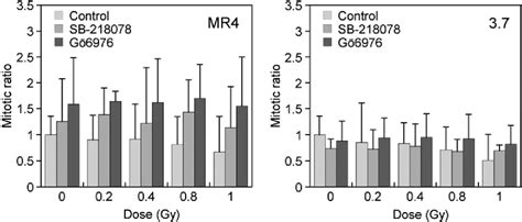 Figure 5 From The Effects Of G2 Phase Enrichment And Checkpoint