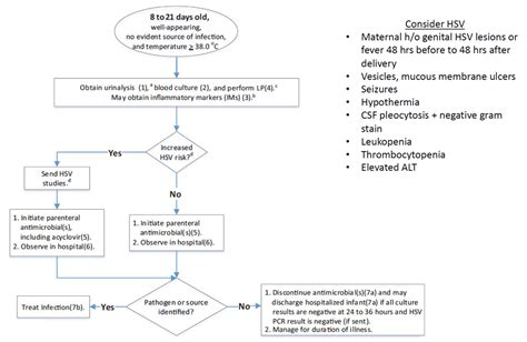 Pediatric Fever Of Uncertain Source WikEM