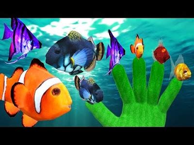 Fish Finger Family Children Nursery Rhymes | ChildrenNurseryRhymes