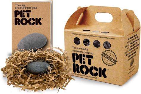 Pet Rock Orijinal Gary Dahl Tr Evcil Hayvan Ürünleri