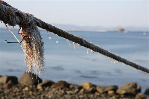 Tether Rope Free Image Download