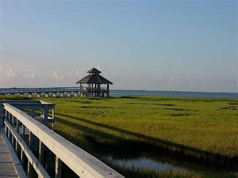 Port Lavaca, TX : Lighthouse Beach Bird Sanctuary | Port lavaca, Port ...