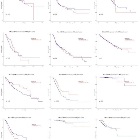 Kaplan Meier Plots Of Adh1b In 12 Different Types Of Cancer Patients