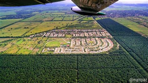 Vista aerea de los campos bananeros en La Lima y San Manuel Cortés