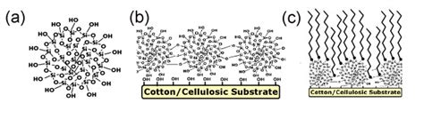 Schematic Drawings A A Colloidal Silica Nanoparticle B Silica Download Scientific Diagram