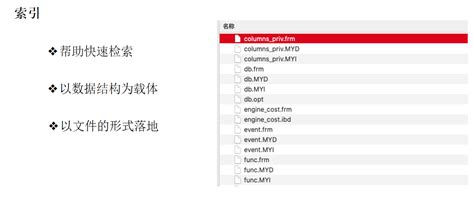 Elasticsearch 高级进阶篇3 倒排索引底层原理 孙龙 程序员 博客园