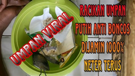 Racikan Umpan Putih Anti Bincos Dijamin Neter Terus YouTube