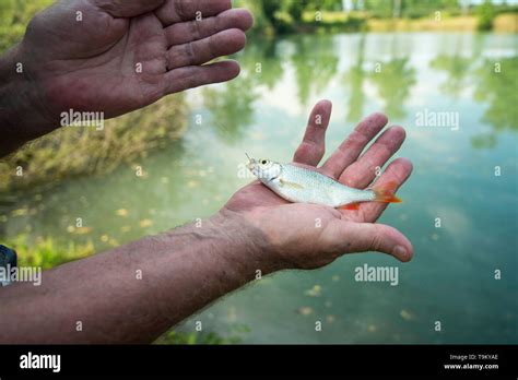 learning how to fish Stock Photo - Alamy
