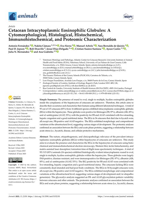 PDF Cetacean Intracytoplasmic Eosinophilic Globules A