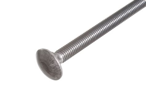 Carriage Bolts Stainless Steel M X Mm Quick Delivery