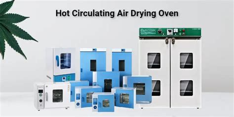Advanced Lab Hot Air Oven Precision Heating For Superior Scientific Research Results Labonsale