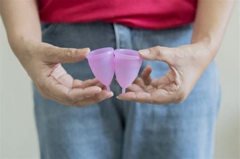 Chás para regular a menstruação conheça 6 receitas eficazes Minha Vida