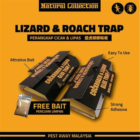 Lizard Glue Trap Menjadi | Lazada