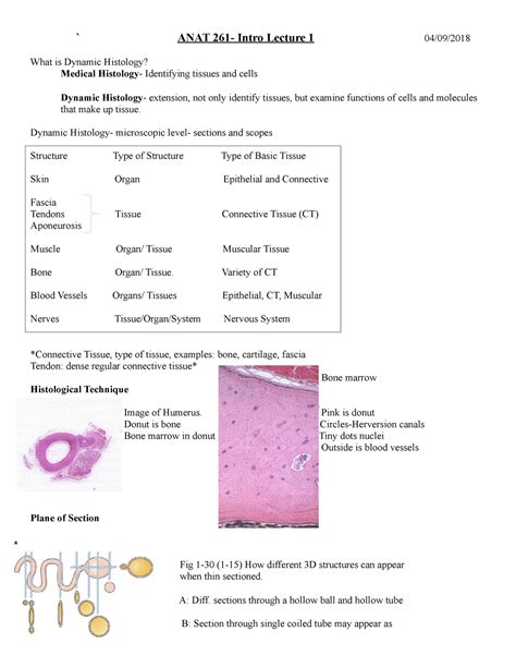 Anat Intro Lecture Dynamic Histology Microscopic Level