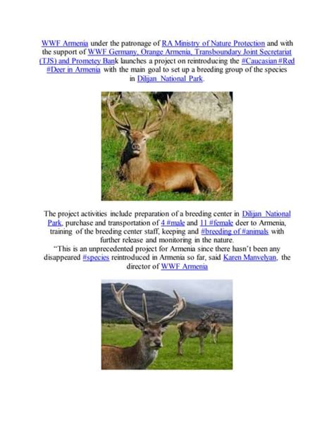 Caucasian Red Deer Will Be Reintroduced In Armenia Soon Pdf Free