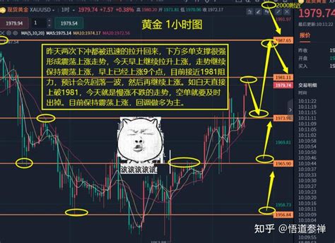 黄金策略 知乎