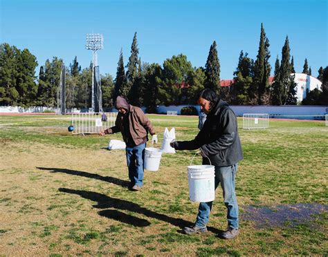 Contin An Las Actividades Del Programa Juntos Por La Ciudaddeportiva