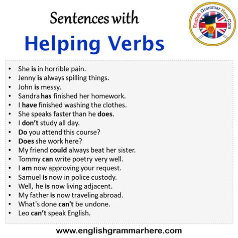 Helping Verb Sentences Hot Sex Picture