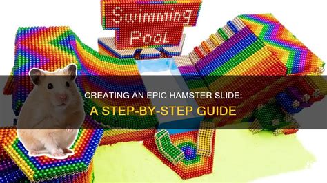 Creating An Epic Hamster Slide A Step By Step Guide Petshun