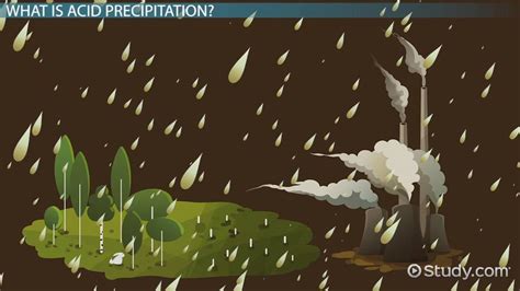 Acid Precipitation Definition Causes And Effects Video And Lesson