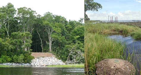 North Carolina Archaeological Sites Approaches To Handling Climate