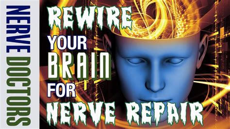 Rewire Your Brain For Nerve Repair The Nerve Doctors Youtube