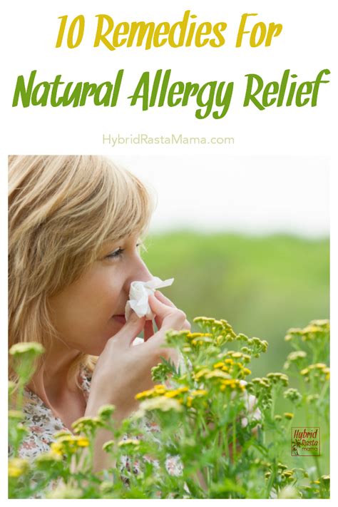 10 Remedies For Natural Allergy Relief Natural Allergy Relief Natural Allergy Home Remedies