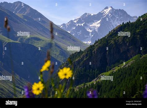 La Meije Des Col Du Lautaret Hi Res Stock Photography And Images Alamy