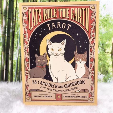 Tarot Cards Cats Rule The Earth Tarot Gypsy Moon