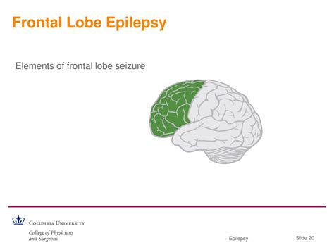 Ppt Outpatient Epilepsy Care For The Internist Part I Powerpoint